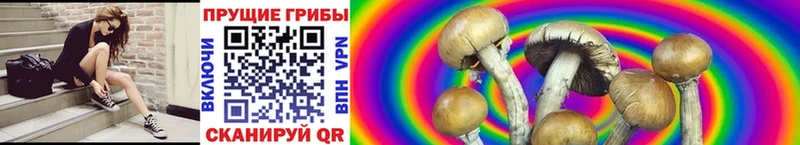Галлюциногенные грибы Cubensis  это как зайти  Иваново 