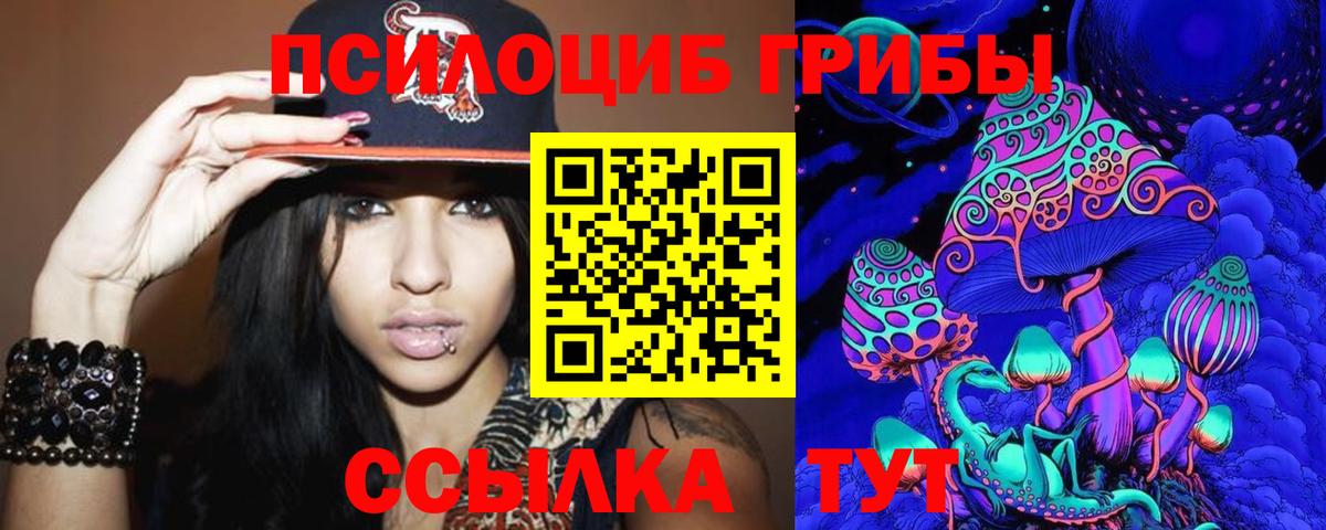 Галлюциногенные грибы Psilocybe  Иваново 
